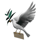 კონტაქტი